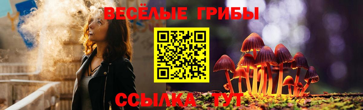 Галлюциногенные грибы Psilocybine cubensis  Вход с VPN  где найти   Псилоцибиновые грибы прущие грибы  Саянск 